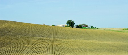 セビーリア近郊田園地帯