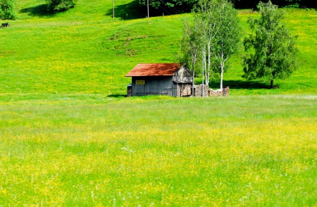 バイエルンの田園