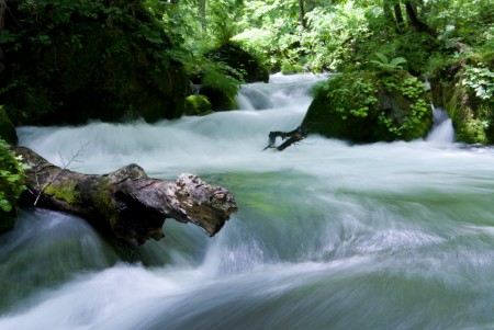 奥入瀬の急流