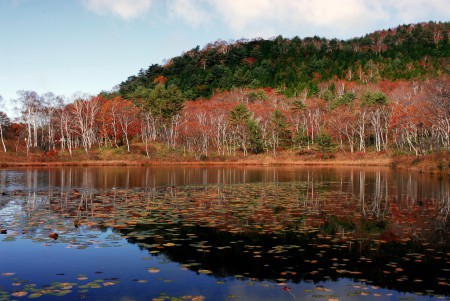 長野県志賀高原
