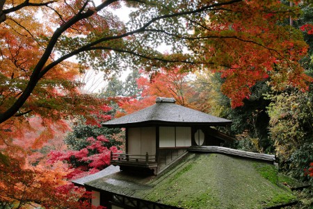 横浜市；三渓園