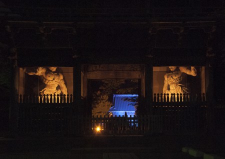 称名寺ライトアップ1