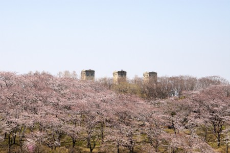 横浜：森林公園