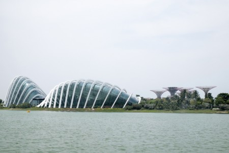 Gardens by the Bay outside